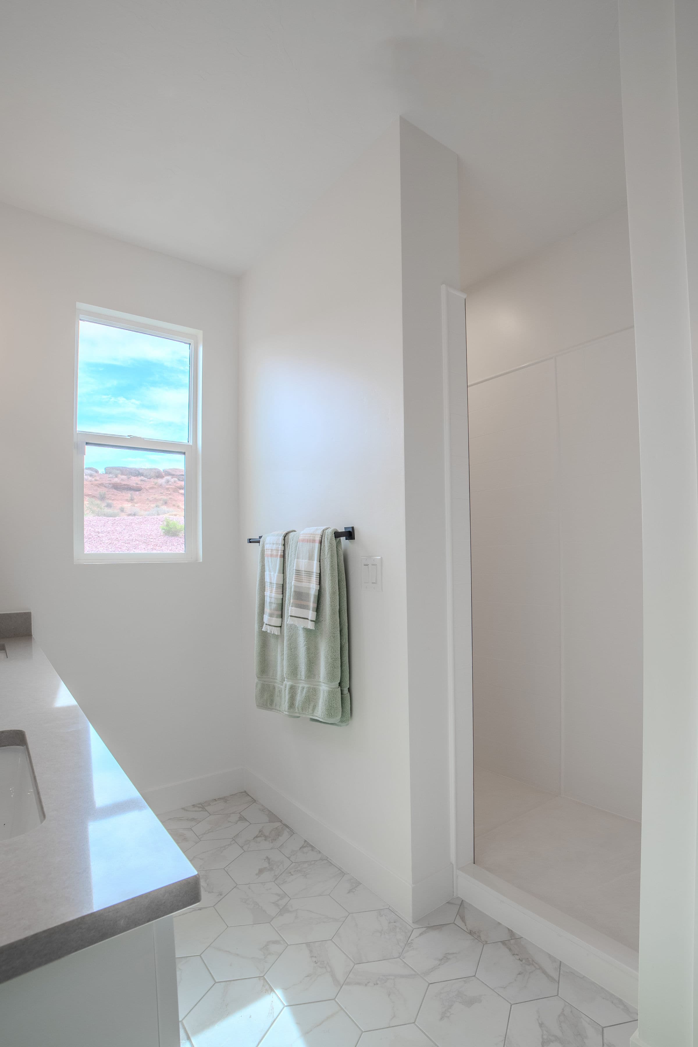 Walk-in Shower